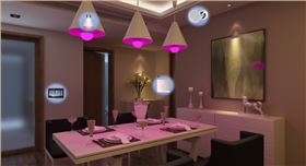 餐廳燈光 餐廳燈光