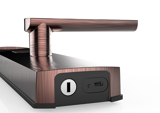 洞庭湖-紅古銅 (8)