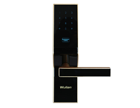 Wulian密碼卡鎖 Wulian密碼卡鎖