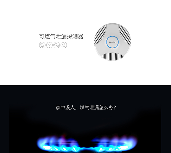 WL-可燃?xì)庑孤┨綔y器_01