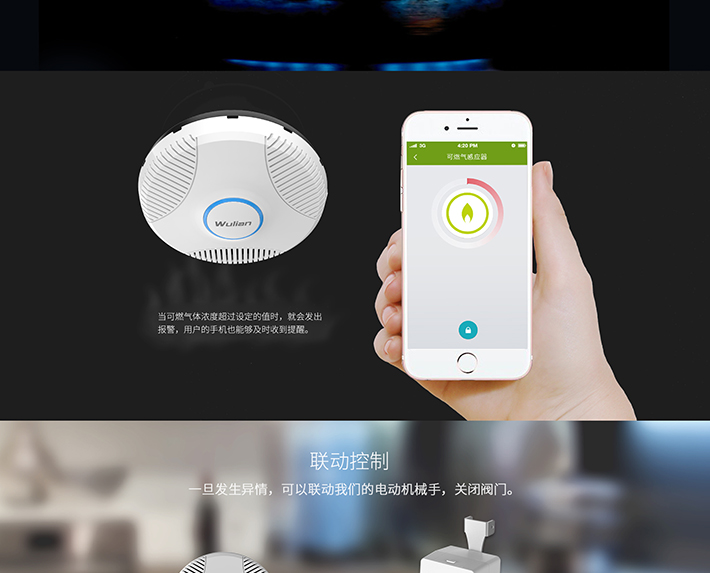 WL-可燃?xì)庑孤┨綔y器_02