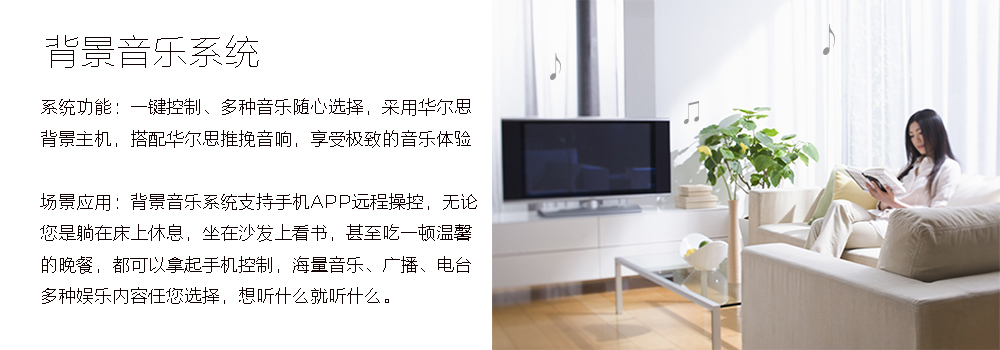 大平層背景音樂系統